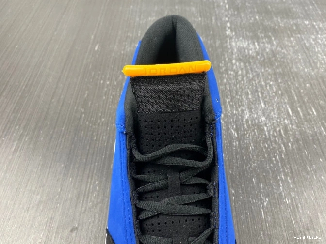 Jordan 487471-407 Retro 14 Laney 1021